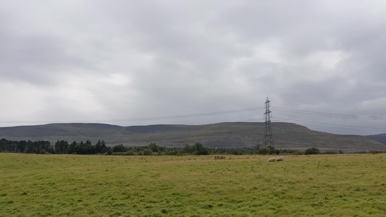 ovejas pastando comiendo hierba en un campo con postes eléctricos y un espectacular paisaje montañoso de fondo en brecon beacons gales reino unido 4k