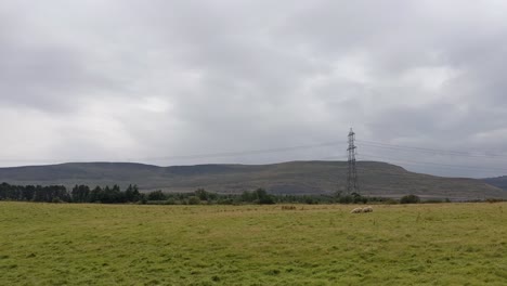 brecon beacons wales uk 4k에서 전기 철탑과 극적인 산악 풍경이 있는 들판에서 풀을 뜯고 있는 양