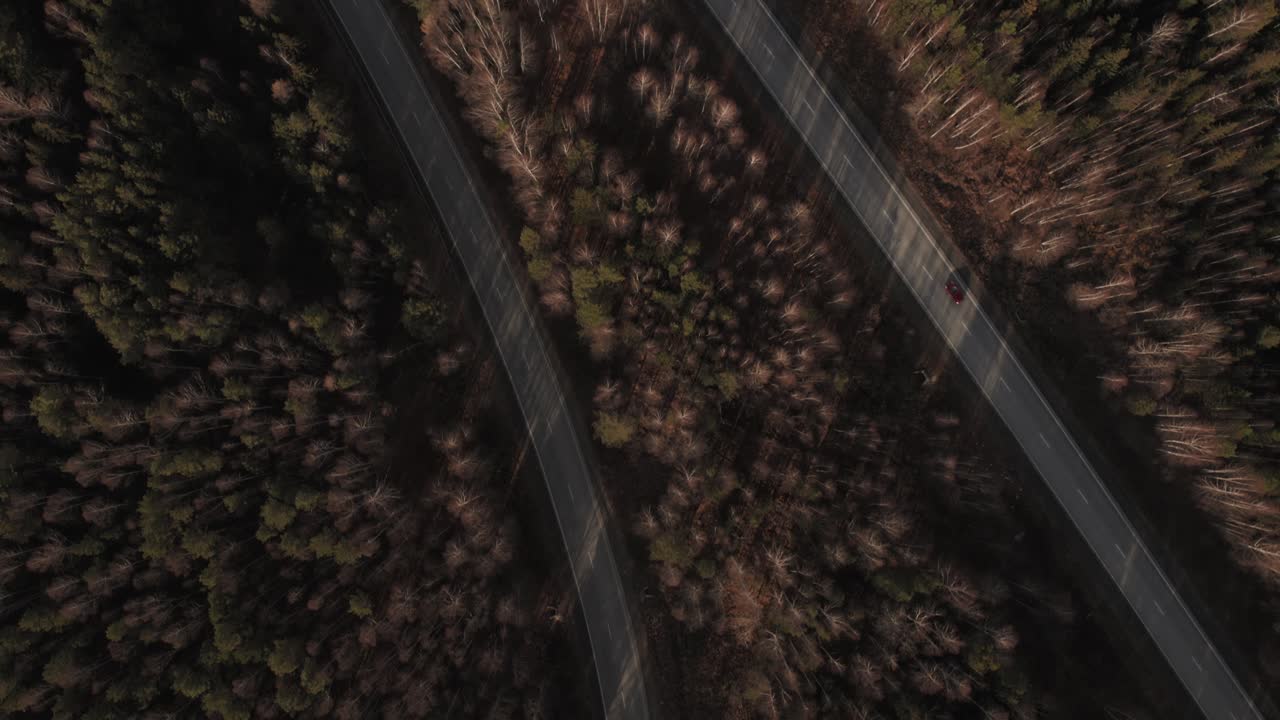 Filmato drone di una strada asfaltata tortuosa che si snoda attraverso un fitto bosco autunnale, vista dall'alto sui Monti Urali, Russia, con lunghe ombre e luce suggestiva