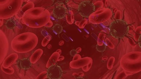 animazione di cellule in movimento su sfondo rosso
