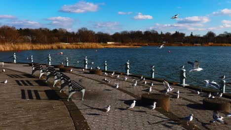 a low angle shot by meadow lake in queens, new york on a sunny day