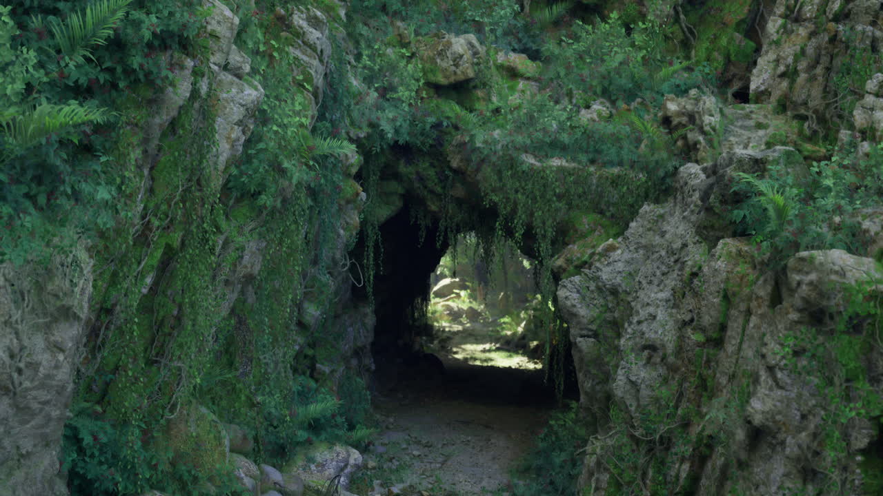 Lush green cave entrance surrounded by vibrant foliage and rocks