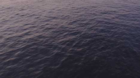 Reveal-shot-of-calm-ocean-at-bali-Indonesia-during-sunrise,-aerial