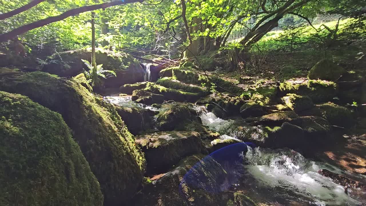 Cascada cayendo por las rocas en un bosque soleado