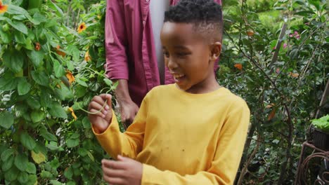 Happy-senior-african-american-man-with-his-grandson-looking-at-plants-in-garden