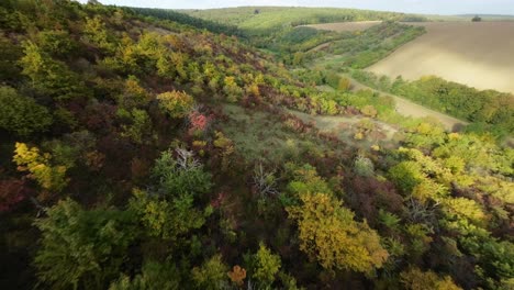 Explorando-El-Esplendor-De-Los-Colores-Otoñales-De-Moravia-Del-Sur