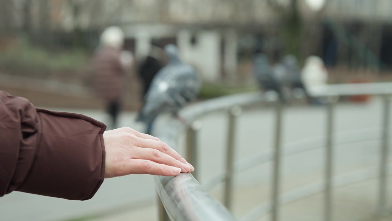 Closeup white hand on metal railing, brown coat sleeve and pigeon blur in background, gentle touch and still pause, winter park atmosphere with muted tones and soft bokeh highlighting texture