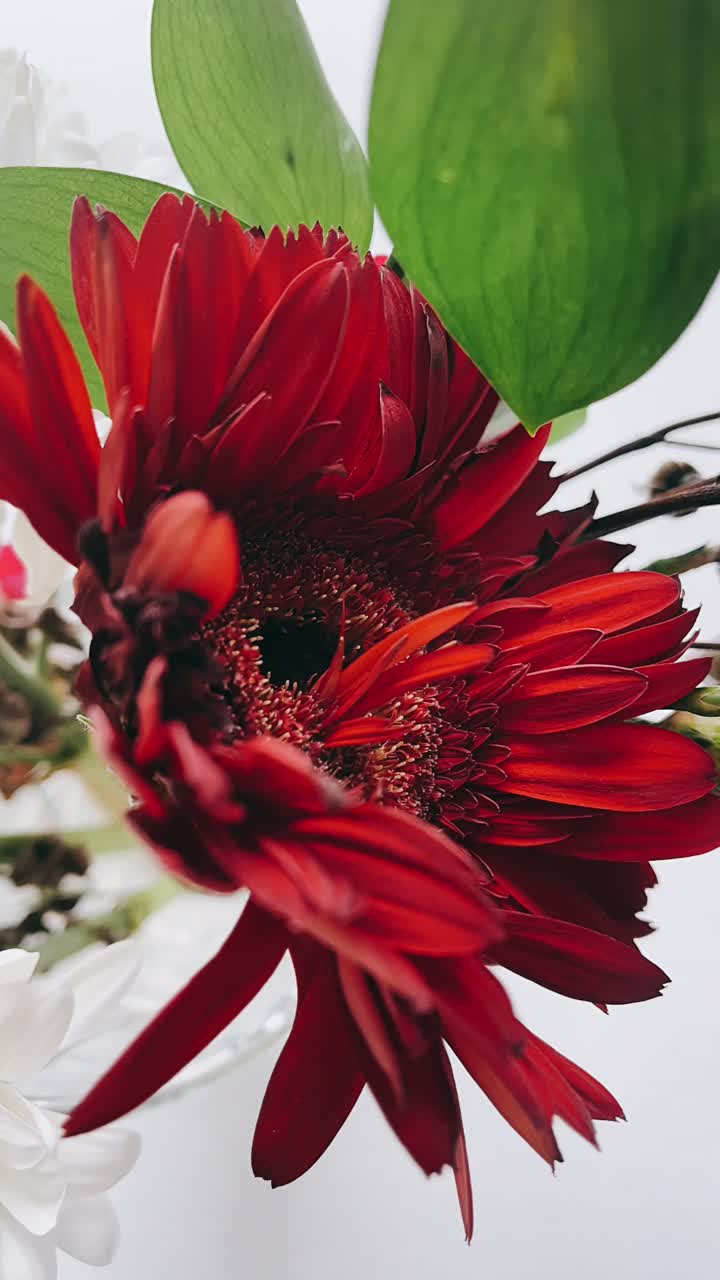 Red and White Flowers Bouquet
