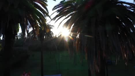 Tiro-De-Dron-De-Palmeras-Que-Se-Desplazan-A-La-Derecha-Durante-La-Hora-Dorada-De-La-Puesta-De-Sol-Con-Destellos-De-Sol-Asomando-Y-Cielos-Azules-Claros-En-Los-ángeles,-área-De-Picnic-Del-Parque-De-California-Con-Una-Pequeña-Vista-Del-Techo-De-Una-Casa-De-Rebote-Rosa