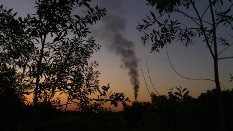 forest burning smoke rising at sunset