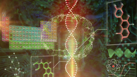 Animation-Des-Rotierenden-Menschlichen-Gehirns,-DNA-Mit-Infografik-Daten-Auf-Digitaler-Schnittstelle