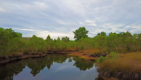 Drone-view-of-a-small-water-pound-with-trees-around-it