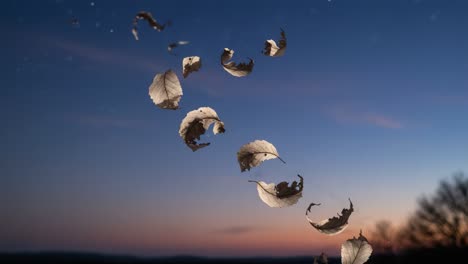 a captivating journey of floating leaves through twilight skies, showcasing nature's graceful dance of transformation against a beautiful dusk horizon