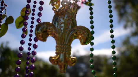 sunny outdoor mardi gras beads and fleur de lis on tree branch blowing in wind