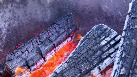 wood burning with flames and embers