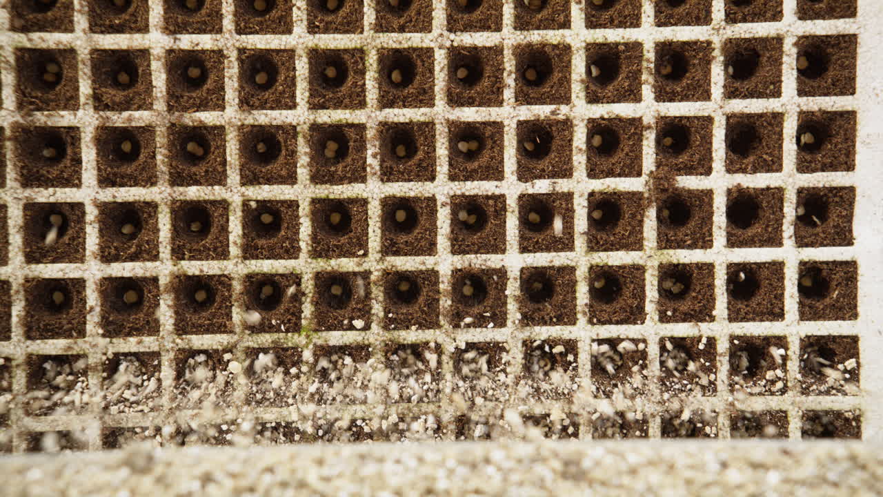 Top Down View of Automated Machine Dispensing Fertilizer into Seedling Trays