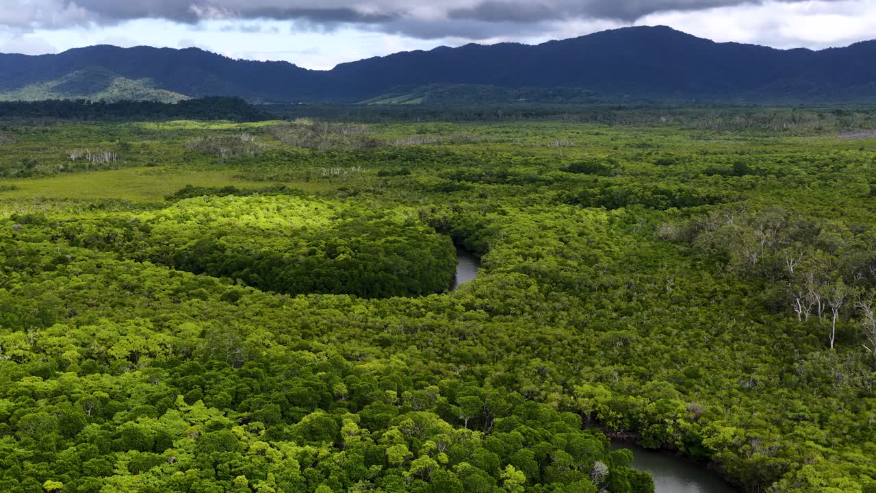 Drone glides above dense Daintree Rainforest, revealing winding river, vibrant green canopy, dramatic clouds, and distant mountains in soft, natural daylight