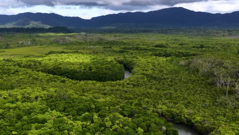 drone glides above dense daintree rainforest, revealing winding river, vibrant green canopy, dramatic clouds, and distant mountains in soft, natural daylight