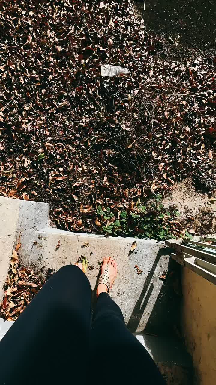 subiendo las escaleras cubiertas de hojas caídas