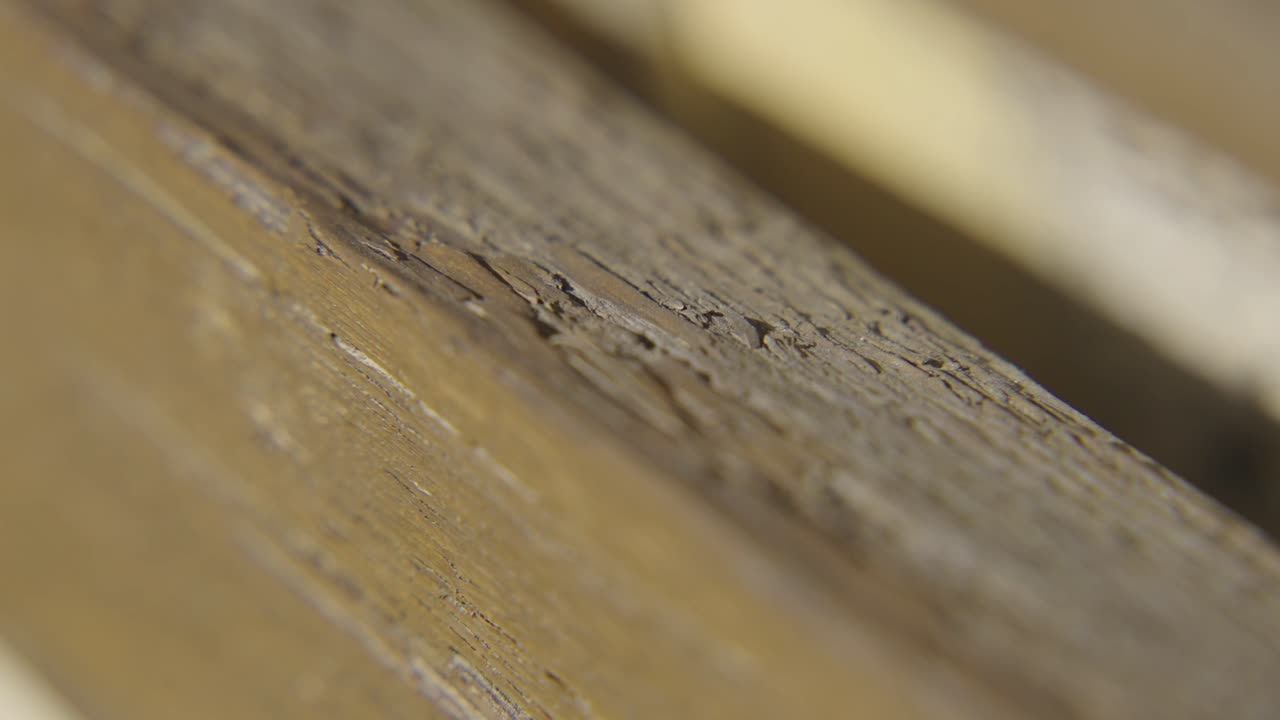 Close-up of an aged wooden surface with deep cracks and organic grain patterns. Ideal for natural backgrounds and texture design