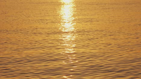 golden sunset reflections on water