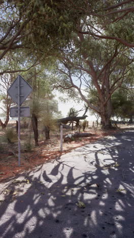 a dirt road through the australian outback