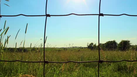 en un campo empuja rápidamente a través de la valla de alambre.