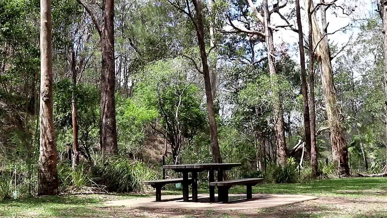 mesa de picnic en el área de descanso rodeada de árboles