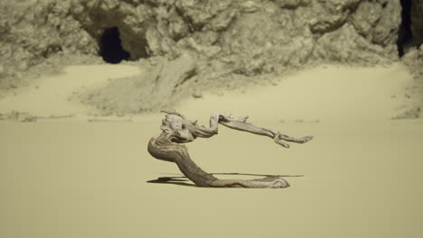 unique sculpture like driftwood formation on a sandy beach landscape