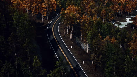 aerial-view-of-snowy-forest-with-a-road