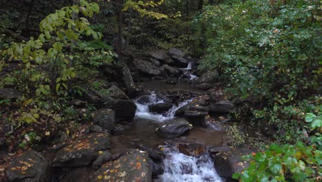 parte inferior de la caída de agua amicalola en georgia
