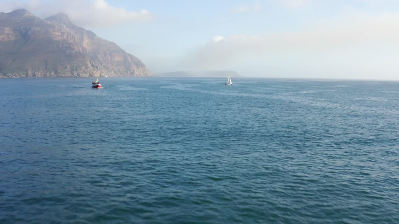 항해하는 배를 향해 날아간다