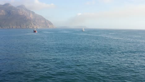 fliegen in richtung boote segeln