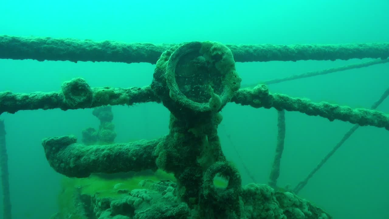 골드 러시 패들 의 보일러 측정기 a.j. 고다드