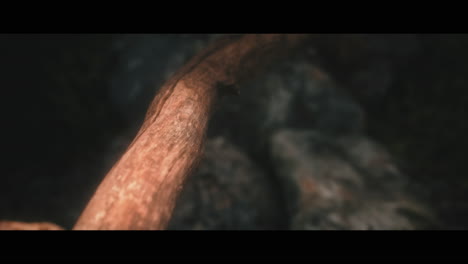 close up of a piece of driftwood