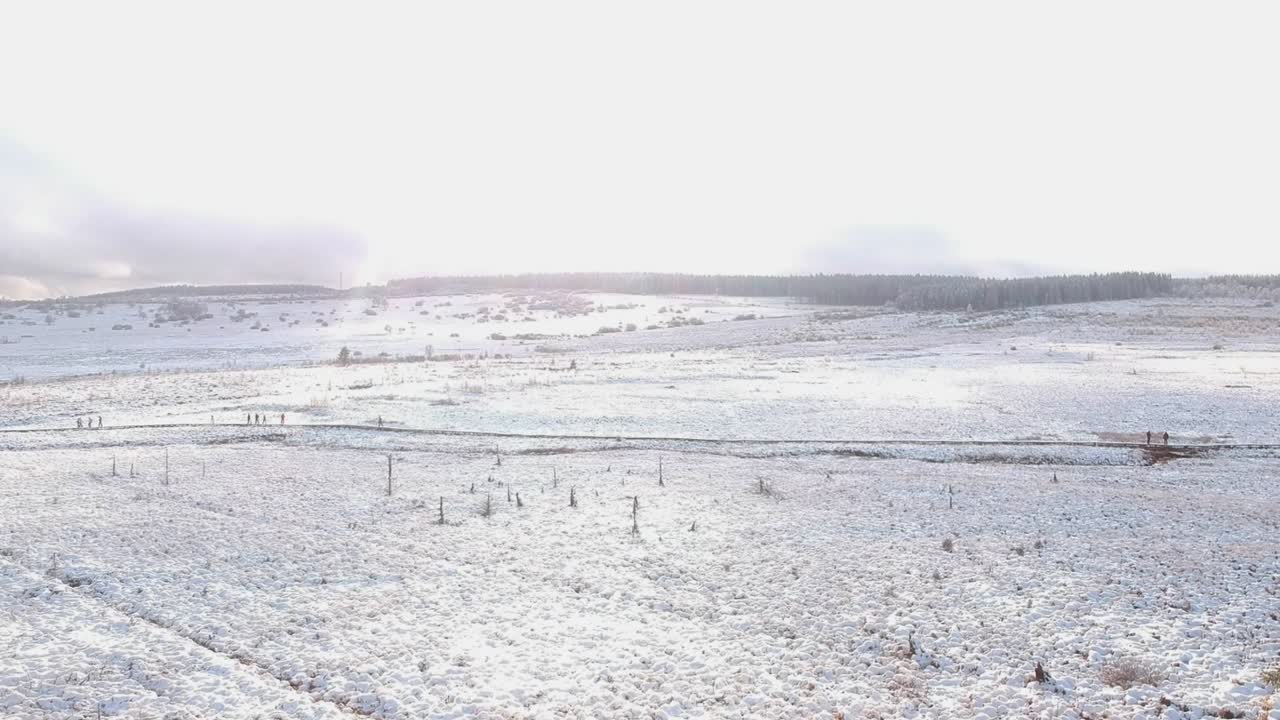 Snow-covered marshland with a pine forest in the distance as the drone lowers to the ground