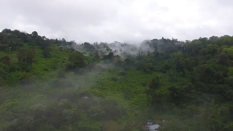 misty morning aerial flight over a primary tropical rainforest. village saül