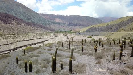 desert landscape of northwestern argentina