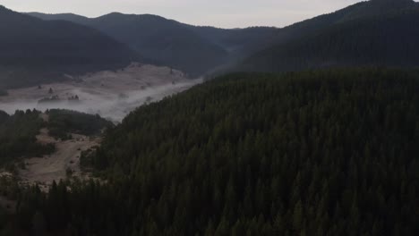 Seitwärtsflug-In-Der-Nähe-Von-Bäumen-In-Den-Bergen-Mit-Nebel-Zwischen-Den-Hügeln