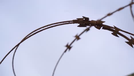 Old-rusty-barbed-wire-close-up-with-plastic-piece