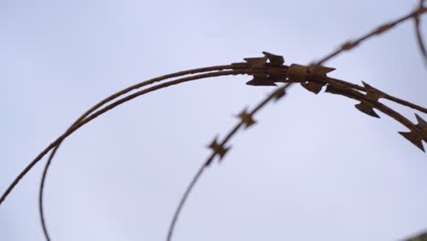 old rusty barbed wire close up with plastic piece