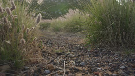 Pareja-Diversa-Haciendo-Ejercicio-Corriendo-Por-Un-Campo-En-El-Campo