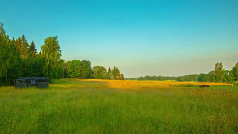 Golden-Sunlight-Of-Sunset-Illuminated-On-A-Misty-Fields-With-Thermal-Wood