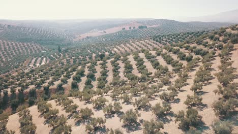 fotografías aéreas de una playa en nueva andalucía, españa en 4k