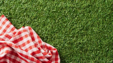 Close-up-of-red-and-white-checkered-blanket-on-grass-with-copy-space