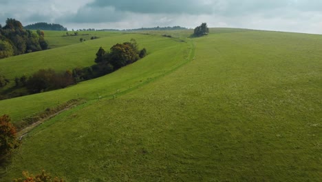 aerial view of a green meadow in north bohemia