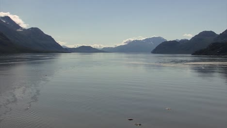 amazing landscape of alaska in a sunny summer day