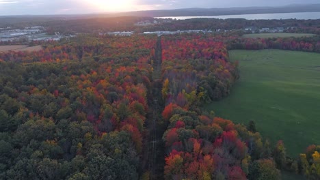 a city from a far during the fall months, sunset- drone video