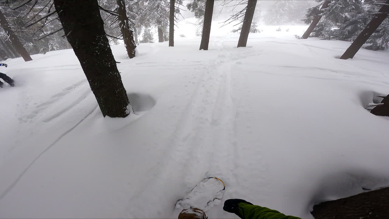 Two male snowboarders go off-piste by the snowy forest. Sportsmen having down the slope ride in the mountains.