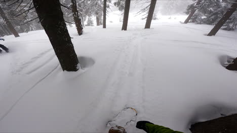 two male snowboarders go off-piste by the snowy forest. sportsmen having down the slope ride in the mountains.